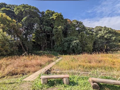 根木内歴史公園