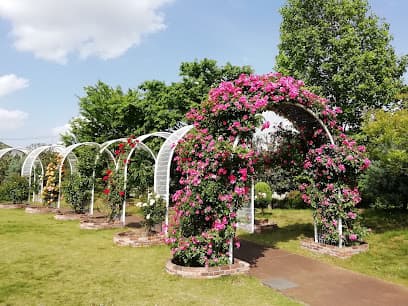東松戸ゆいの花公園