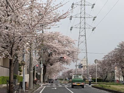 さくら通り内科・大島