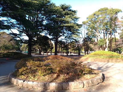 松戸中央公園