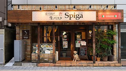 生パスタ専門店 スピガ 松戸店